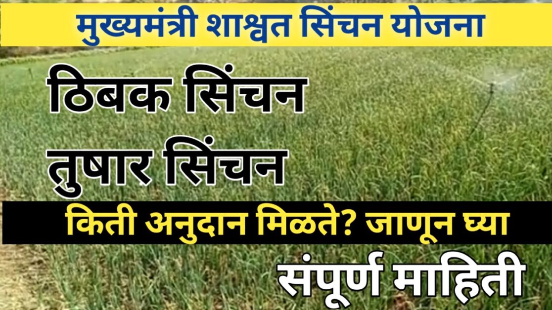 मुख्यमंत्री शाश्वत सिंचन योजना, ठिबक सिंचन आणि तुषार सिंचन संपुर्ण माहिती