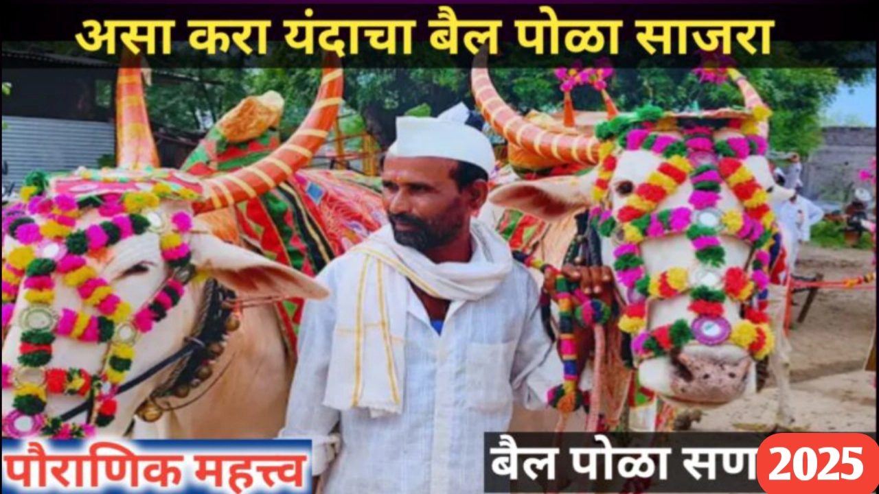 बैल पोळा 2025