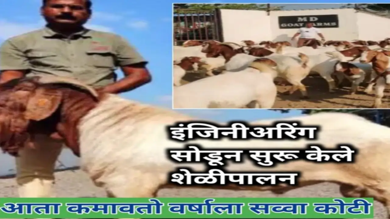 इंजिनीअरिंग सोडून सुरू केले शेळीपालन, आज पठ्ठ्या कमावतोय वर्षाला सव्वा कोटी