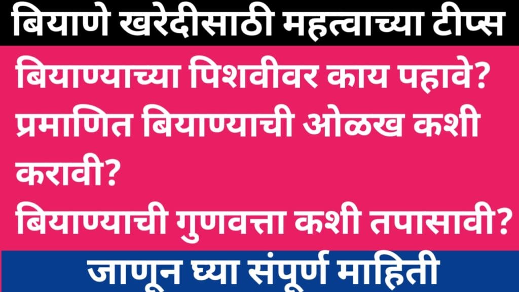 बियाणे खरेदी करताना घ्यावयाची काळजी 