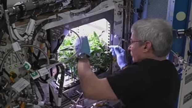 अंतराळातील शेती farming in space 