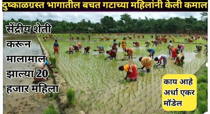 या गावातील महिला करत आहेत यशस्वी सेंद्रिय शेती, मिळते प्रचंड उत्पादन