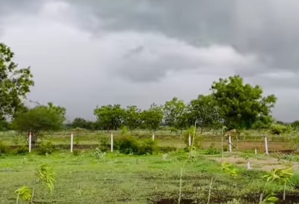 गायक शिंदे कुटुंबाचं शेतीवर असलेलं प्रेम अन् गावाकडची शेती गायक शिंदे कुटुंबाचं शेतीवर असलेलं प्रेम, गावाकडची शेती