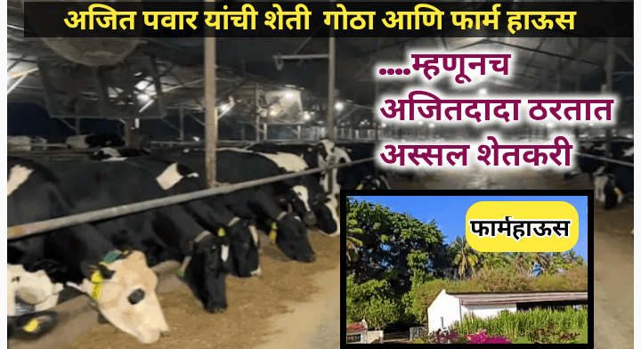 अजित पवार यांचा गोठा, फार्महाऊस, गोबर गॅस आणि गांडूळ खत प्रकल्प