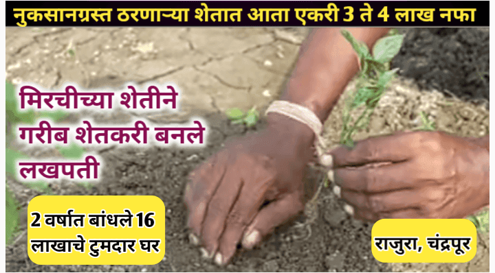 मिरचीची शेती करून या गावातील शेतकरी बनले लखपती