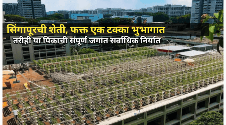 सिंगापूर देशातील शेती, फक्त एक टक्का भुभगाचा शेतीसाठी वापर