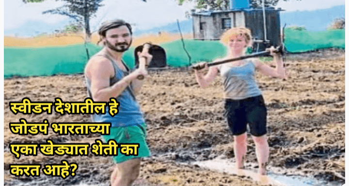 स्वीडनचे दाम्पत्य भारतीय शेती प्रेमात, Sweden couple work in Indian farm