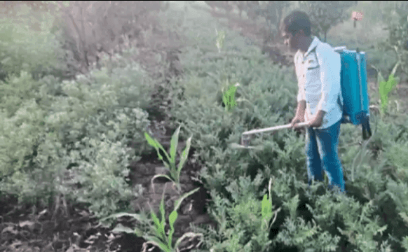 आठवीतील मुलाने तयार केले फक्त 100 रुपयांत हरभरा खुडणी यंत्र आठवीतील मुलाने तयार केले फक्त 100 रुपयांत हरभरा खुडणी यंत्र