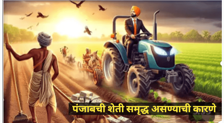 पंजाब राज्यातील शेती प्रगत का आहे? सविस्तर अवलोकन