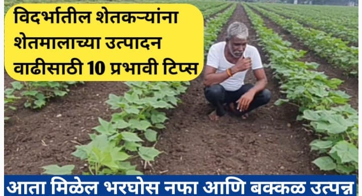 विदर्भातील शेतकऱ्यांना अधिक उत्पन्नासाठी 10 टिप्स