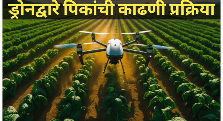ड्रोनच्या साहाय्याने पिकांची काढणी: शेतीतील क्रांतीचा नवा अध्याय ड्रोनच्या साहाय्याने पिकांची काढणी: शेतीतील क्रांतीचा नवा अध्याय