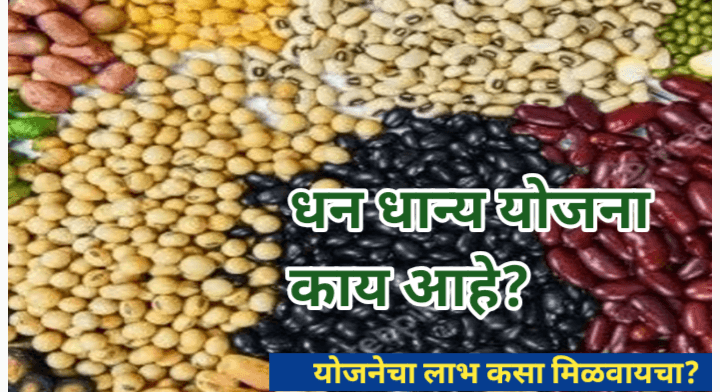 धनधान्य योजनेला मंजुरी; 1.7 कोटी शेतकऱ्यांना होणार फायदा