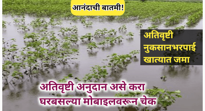 2024 अतिवृष्टी नुकसान भरपाई मंजूर; ,७३३ कोटींचा निधी वाटपाचा निर्णय