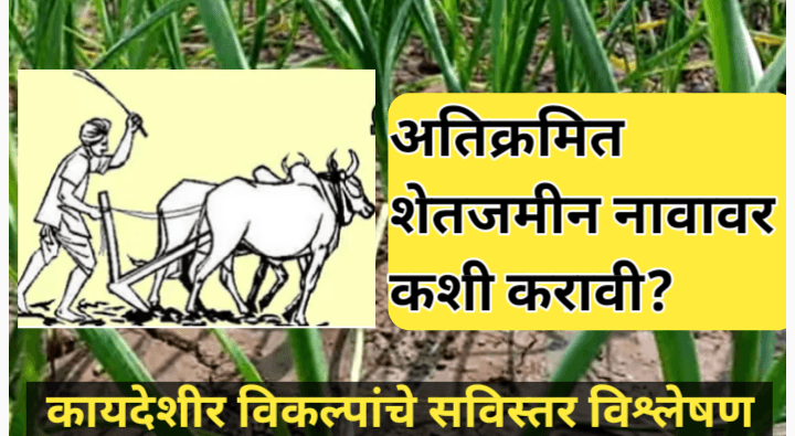 अतिक्रमित शेतजमीन नावावर करण्याची प्रक्रिया: संपूर्ण मार्गदर्शन