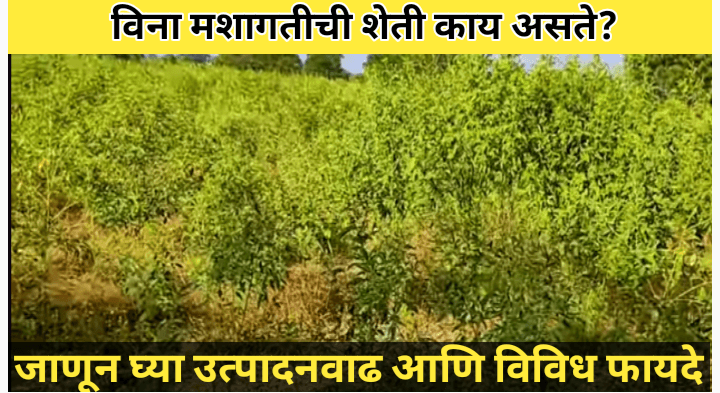 विना मशागतीची शेती: शाश्वत शेतीचे भविष्य