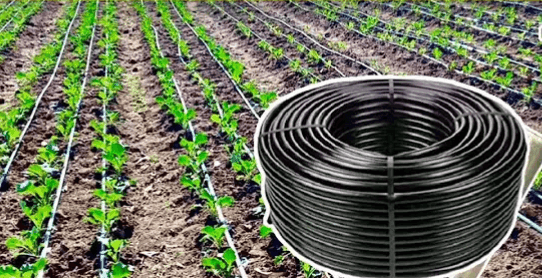 ठिबक सिंचन आणि तुषार सिंचन योजनेसाठी १४४ कोटी रुपयांची मान्यता