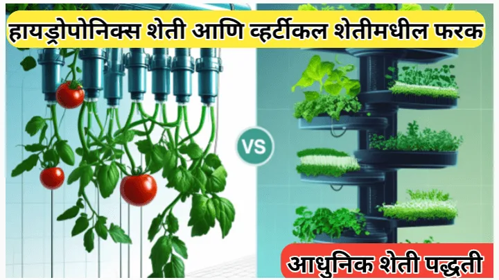 हायड्रोपोनिक्स शेती आणि व्हर्टीकल शेतीमधील फरक: एक तुलनात्मक विश्लेषण