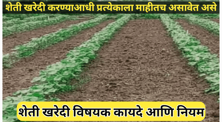 महाराष्ट्रातील शेती खरेदी करण्याचे कायदे: संपूर्ण मार्गदर्शन