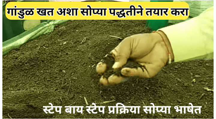 गांडूळ खत निर्मिती; स्टेप बाय स्टेप प्रक्रिया सोप्या भाषेत