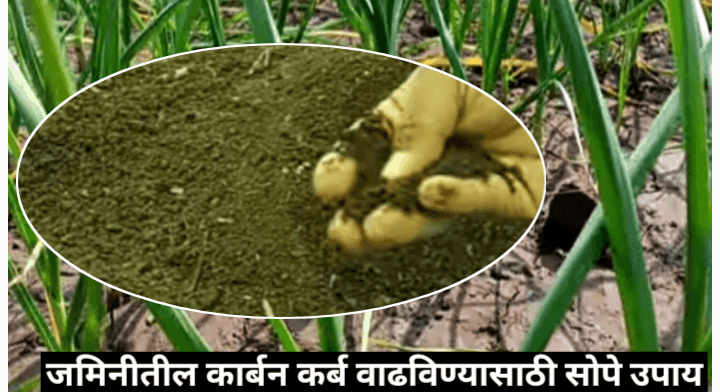 जमिनीतील कार्बन कर्ब वाढविण्यासाठी उपाय आणि प्रक्रिया