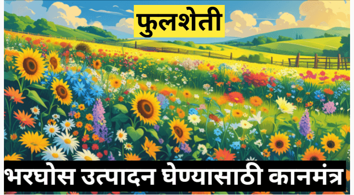 फुलशेती: शेतकऱ्यांसाठी आधुनिक आणि फायदेशीर व्यवसाय