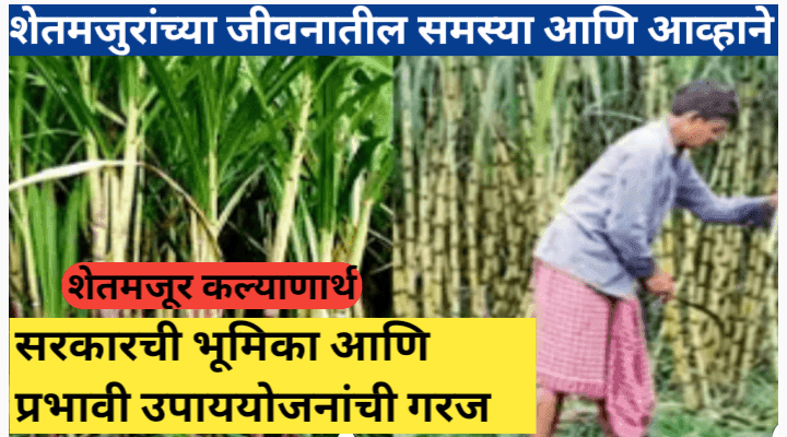 भारतातील शेतमजुरांच्या समस्या आणि त्यावर प्रभावी ठरू शकणारे उपाय