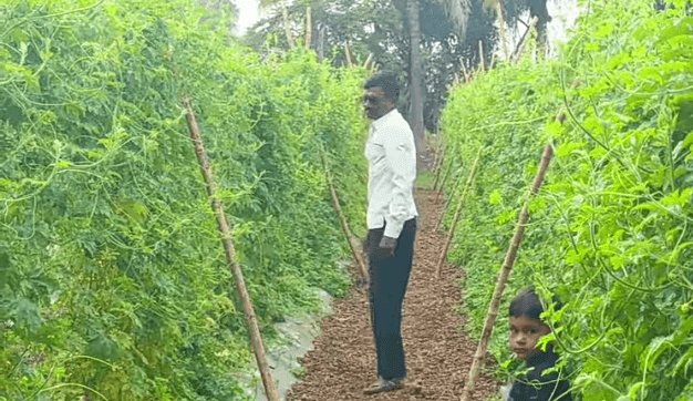 महाराष्ट्रातील शेतकऱ्यांना कर्जमाफी मिळणार का? समग्र विश्लेषण