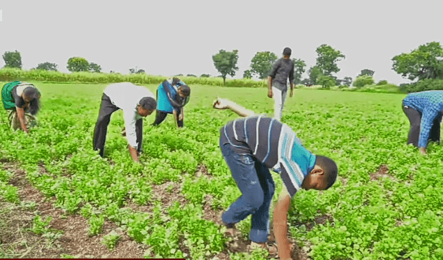 रोजगार हमी योजनेच्या मजुरीत वाढ; वाचा संपुर्ण माहिती