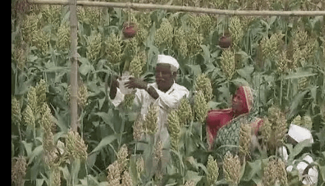 अर्थसंकल्पात शेतकऱ्यांचा भ्रमनिरास: सविस्तर विश्लेषण