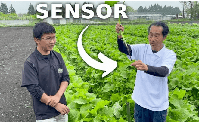 जपानमधील AI आधारित शेती: आधुनिक तंत्रज्ञानाद्वारे शेतीत क्रांती