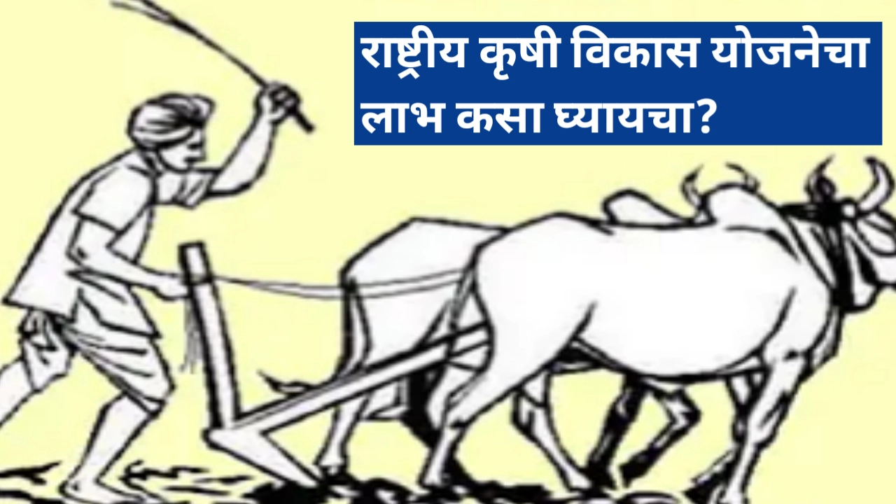 राष्ट्रीय कृषी विकास योजना: असा मिळवा योजनेचा लाभ, संपुर्ण माहिती