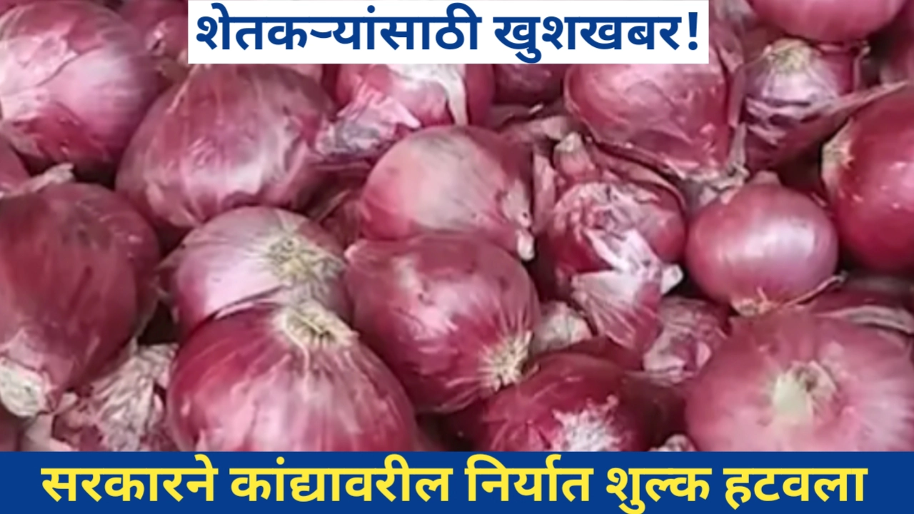 कांद्याची निर्यात करण्यासाठी ग्रामीण शेतकऱ्यांना मार्गदर्शन