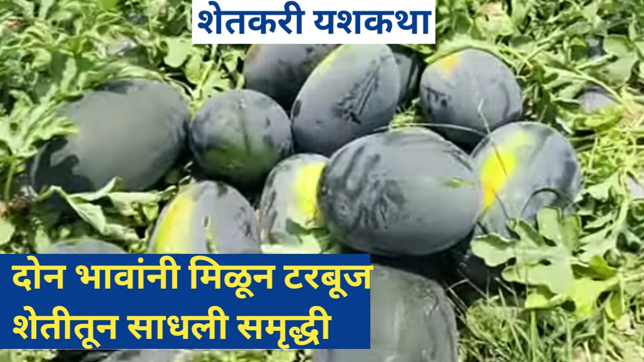 या दोन भावांनी मिळवली कलिंगड शेतीतून समृद्धी; यशकथा