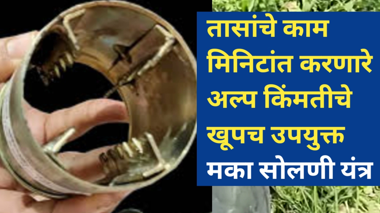 मका सोलणी यंत्र: तासांचे काम मिनिटांत करून श्रम वाचवा, यंत्रांची संपुर्ण माहिती आणि फायदे