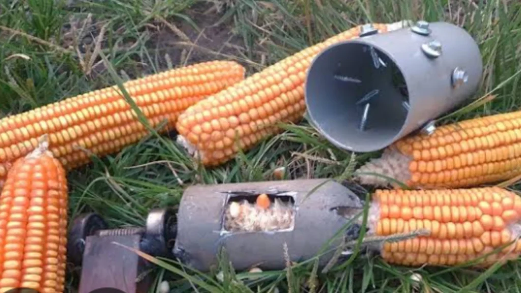 मका सोलणी यंत्र: तासांचे काम मिनिटांत करून श्रम वाचवा