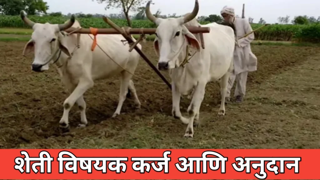 शेतकऱ्यांनो कृषी कर्ज आणि अनुदान बाबत उपयुक्त माहिती जाणून घ्या