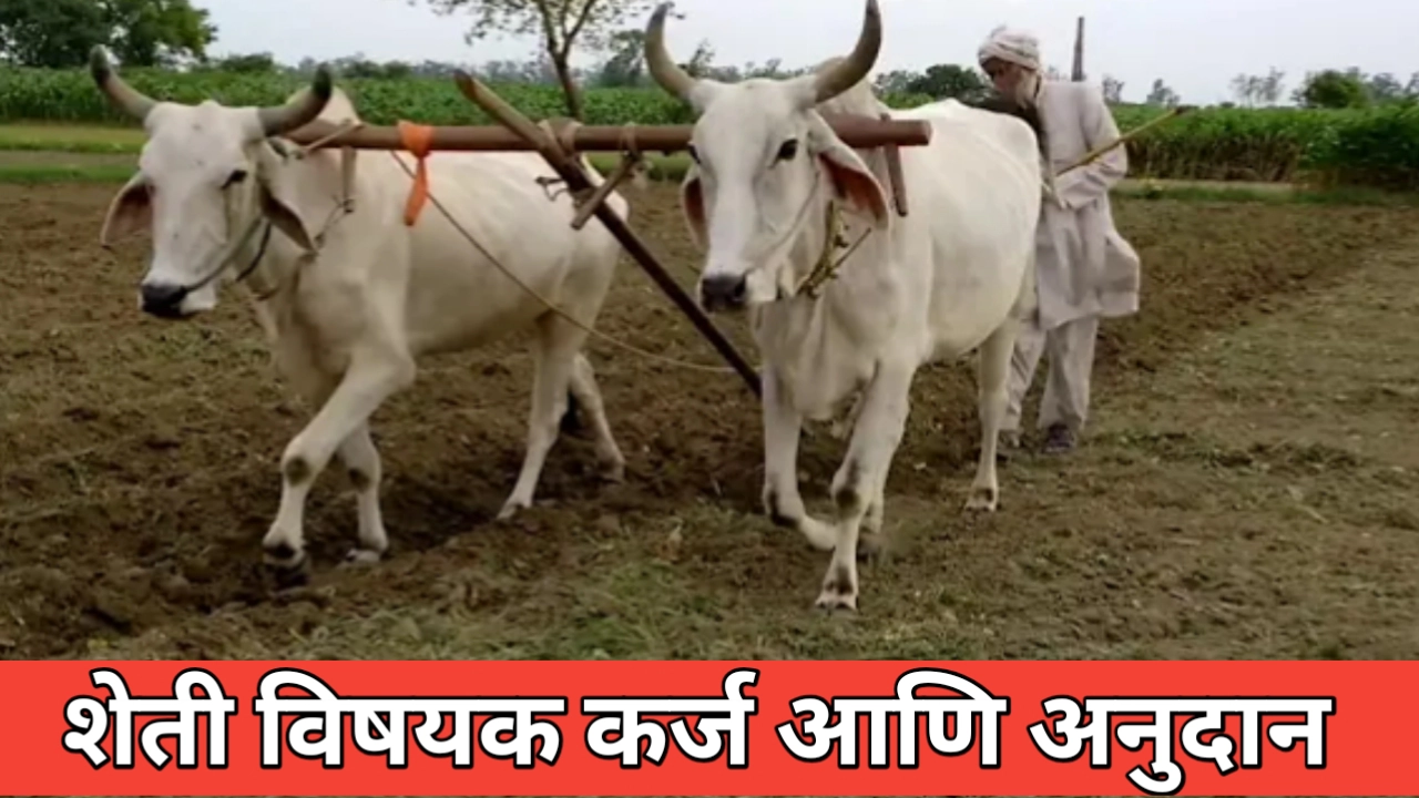 शेतकऱ्यांनो कृषी कर्ज आणि अनुदान बाबत उपयुक्त माहिती जाणून घ्या