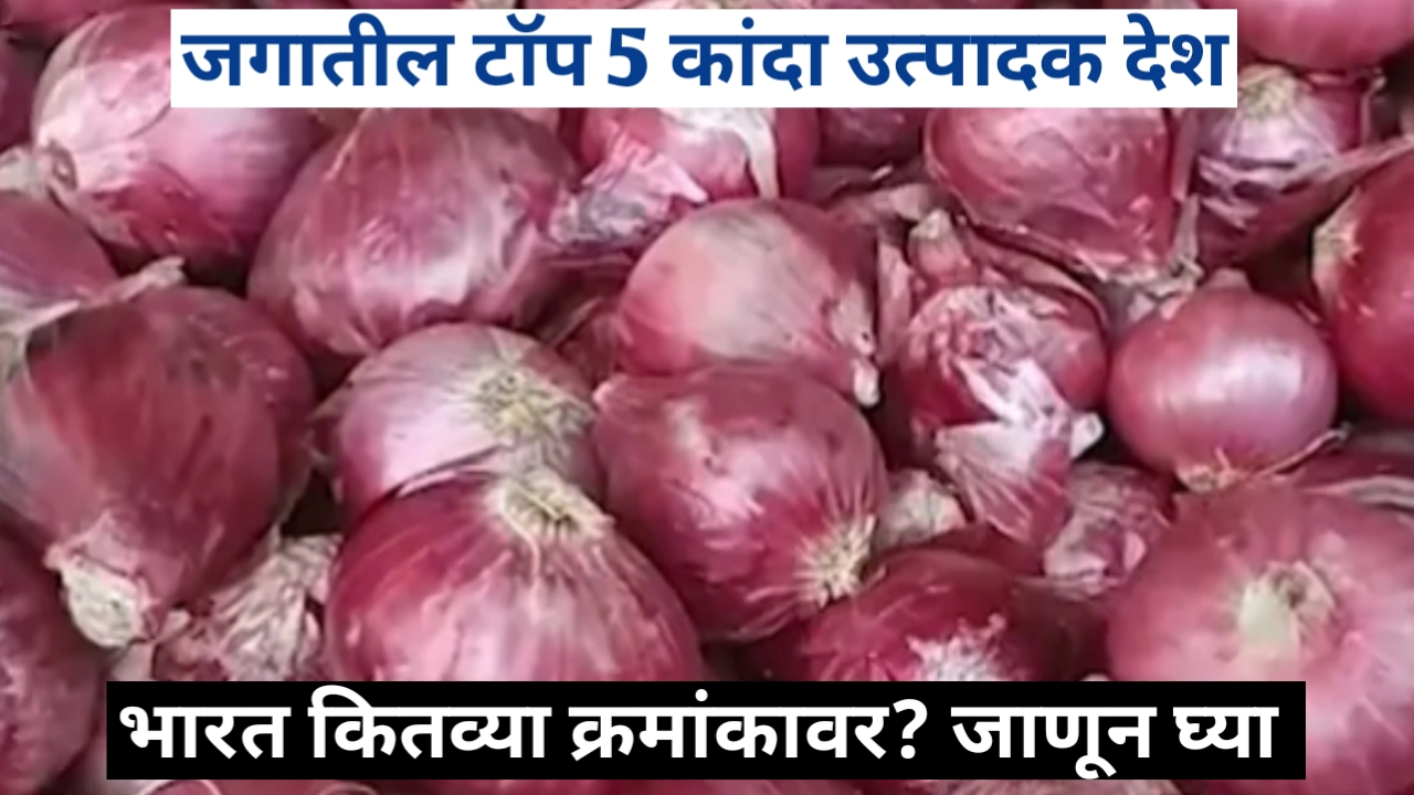 जगातील टॉप 5 कांदा उत्पादक देश; जाणून घ्या भारताचा क्रमांक