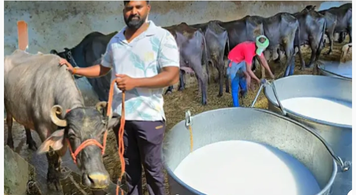 एक जिल्हा एक उत्पादन योजना; असा करा ऑनलाईन अर्ज