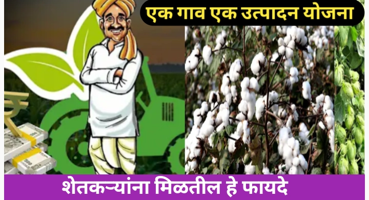 एक जिल्हा एक उत्पादन योजना; योजनेची संपुर्ण माहिती