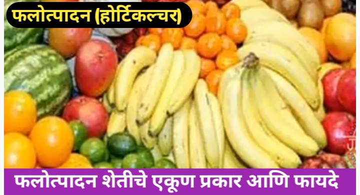 हॉर्टिकल्चर शेती पद्धतीविषयी सविस्तर माहिती आणि प्रकार