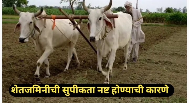 शेतजमिनीची सुपीकता नष्ट होण्याची कारणे कोणती याचे सविस्तर विश्लेषण