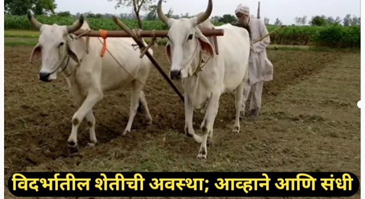 विदर्भातील शेती: स्वरूप, आव्हाने आणि संधी; एक सविस्तर विश्लेषण