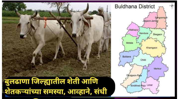 बुलढाणा जिल्ह्यातील शेतीची अवस्था: शेतकऱ्यांसाठी आव्हाने, उपाय आणि संधी
