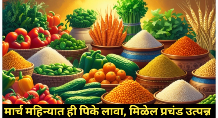 मार्च महिन्यात घेतल्या जाणारी पिके: शेतकऱ्यांच्या उन्हाळी उत्पादनाची गुरुकिल्ली