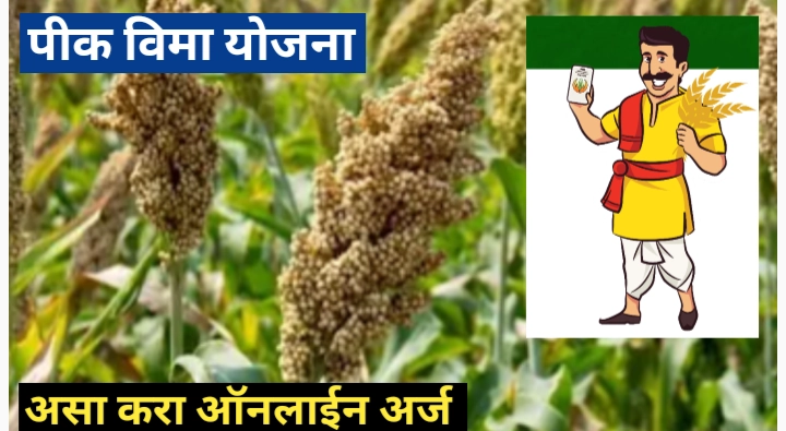 **प्रधानमंत्री पीक विमा योजना** चे स्वरूप, उद्दिष्ट, अर्ज प्रक्रिया, अधिकृत वेबसाइट, पात्रता निकष, आवश्यक कागदपत्रे, फायदे आणि वारंवार विचारल्या जाणाऱ्या प्रश्नांची उत्तरे