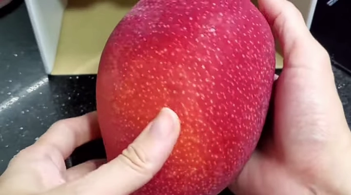 तीन लाख रुपये किमतीचा मियाझाकी आंबा पिकविणारा शेतकरी