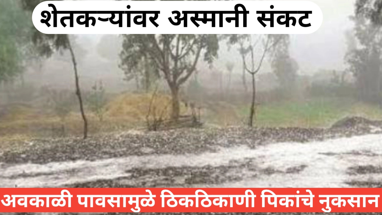 अवकाळी पावसाने पिकांचे नुकसान, शेतकरी हवालदिल