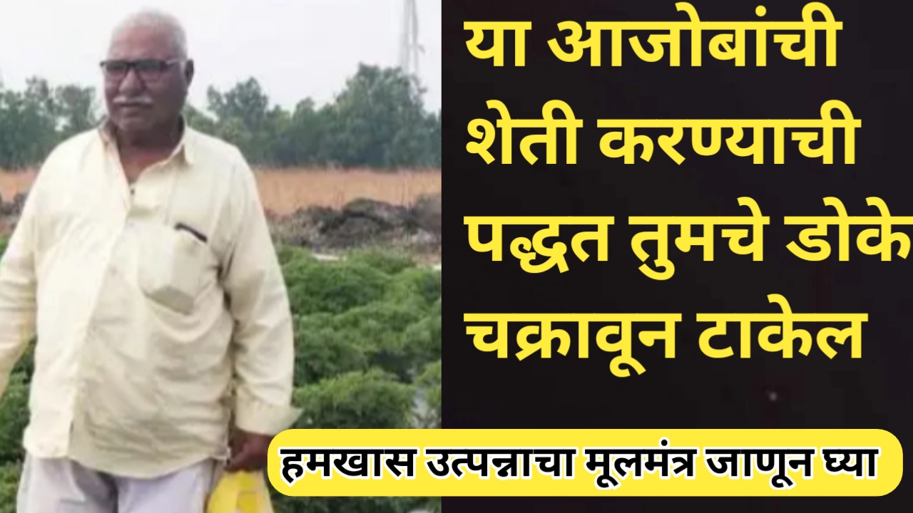 वृद्ध शेतकऱ्याचे शेतीतील यश पाहून व्हाल चकित