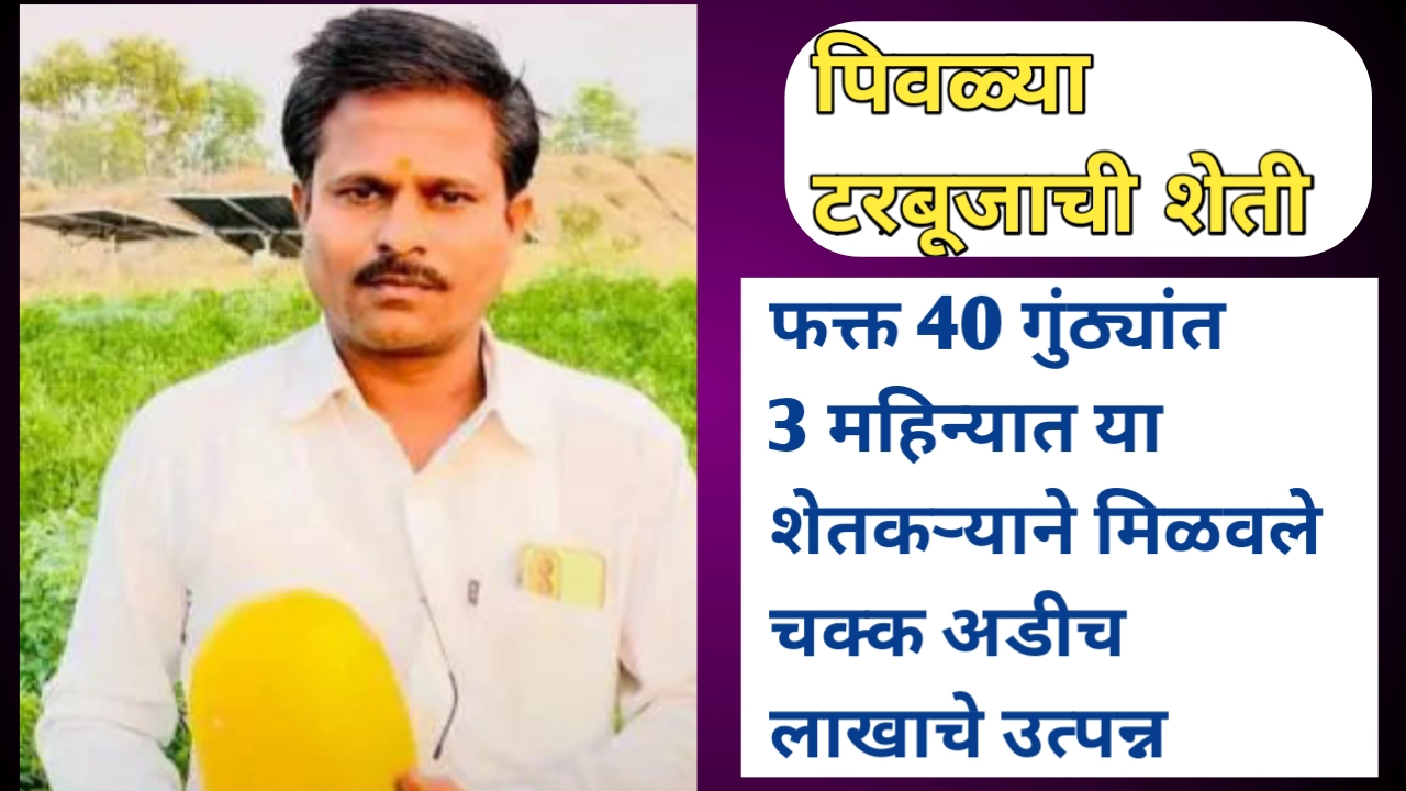 पिवळ्या टरबुजाची शेती: ओम ढगे यांची प्रेरणादायी यशोगाथा